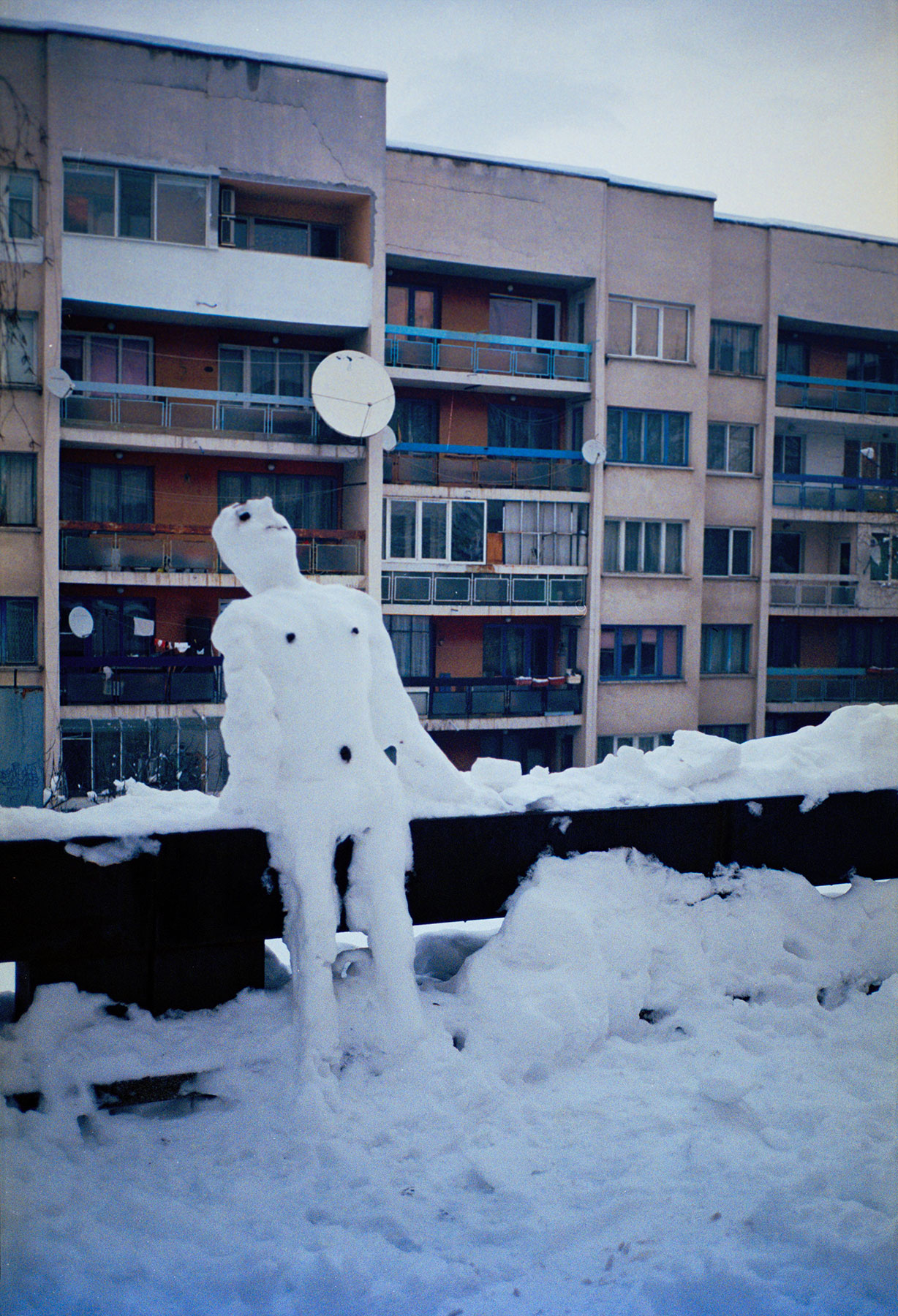 Dazed Snowman, 2016