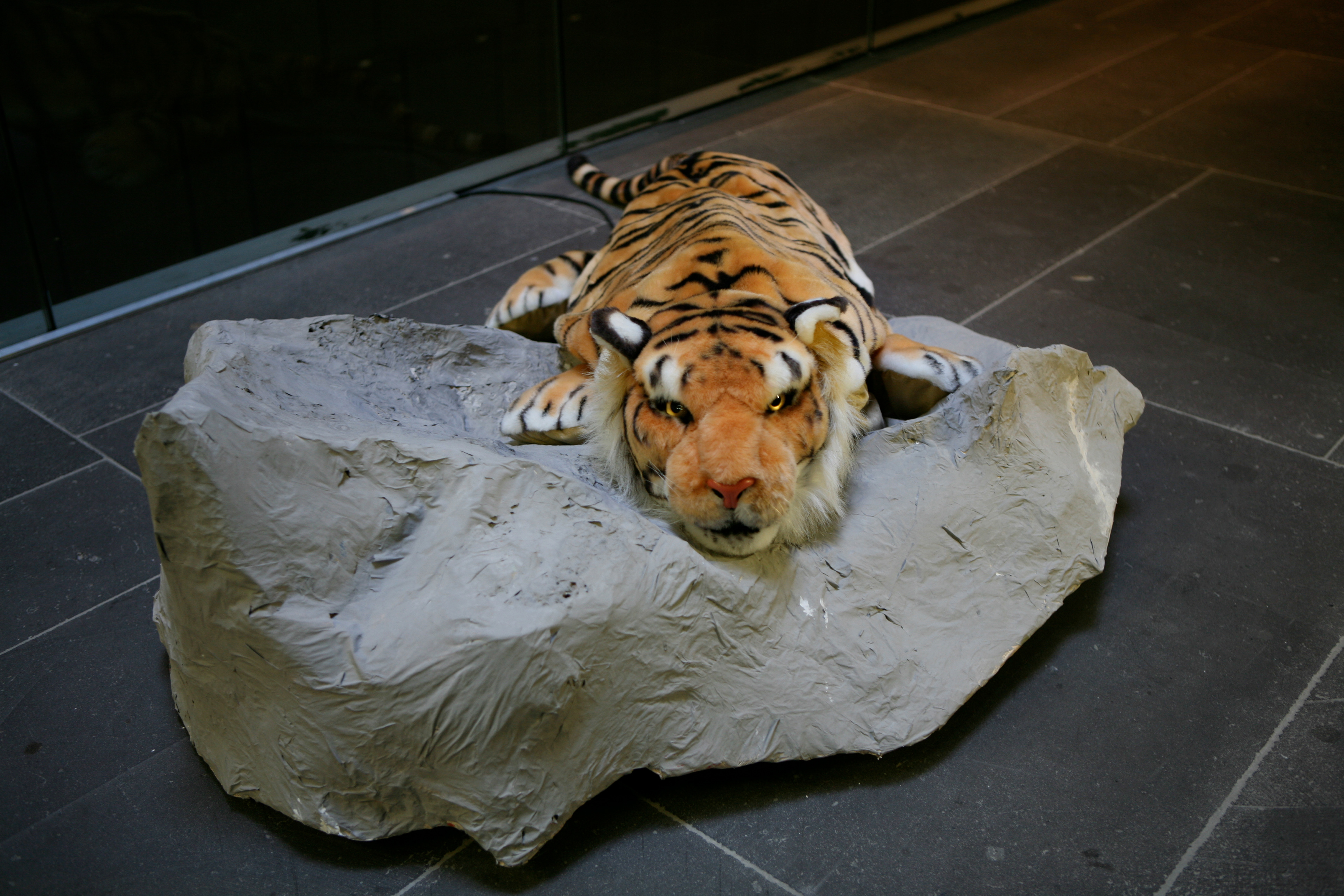 Tiger Steps, 2007