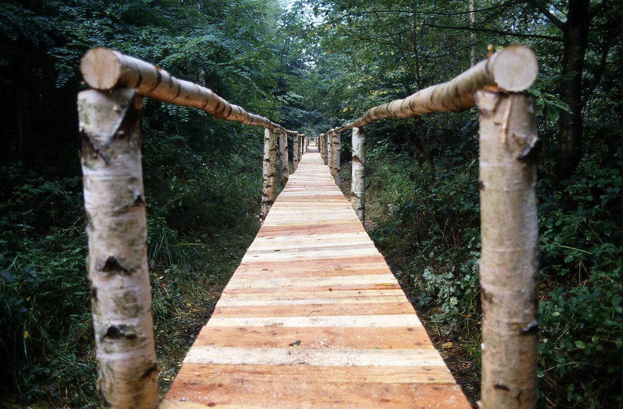 Path, 2006