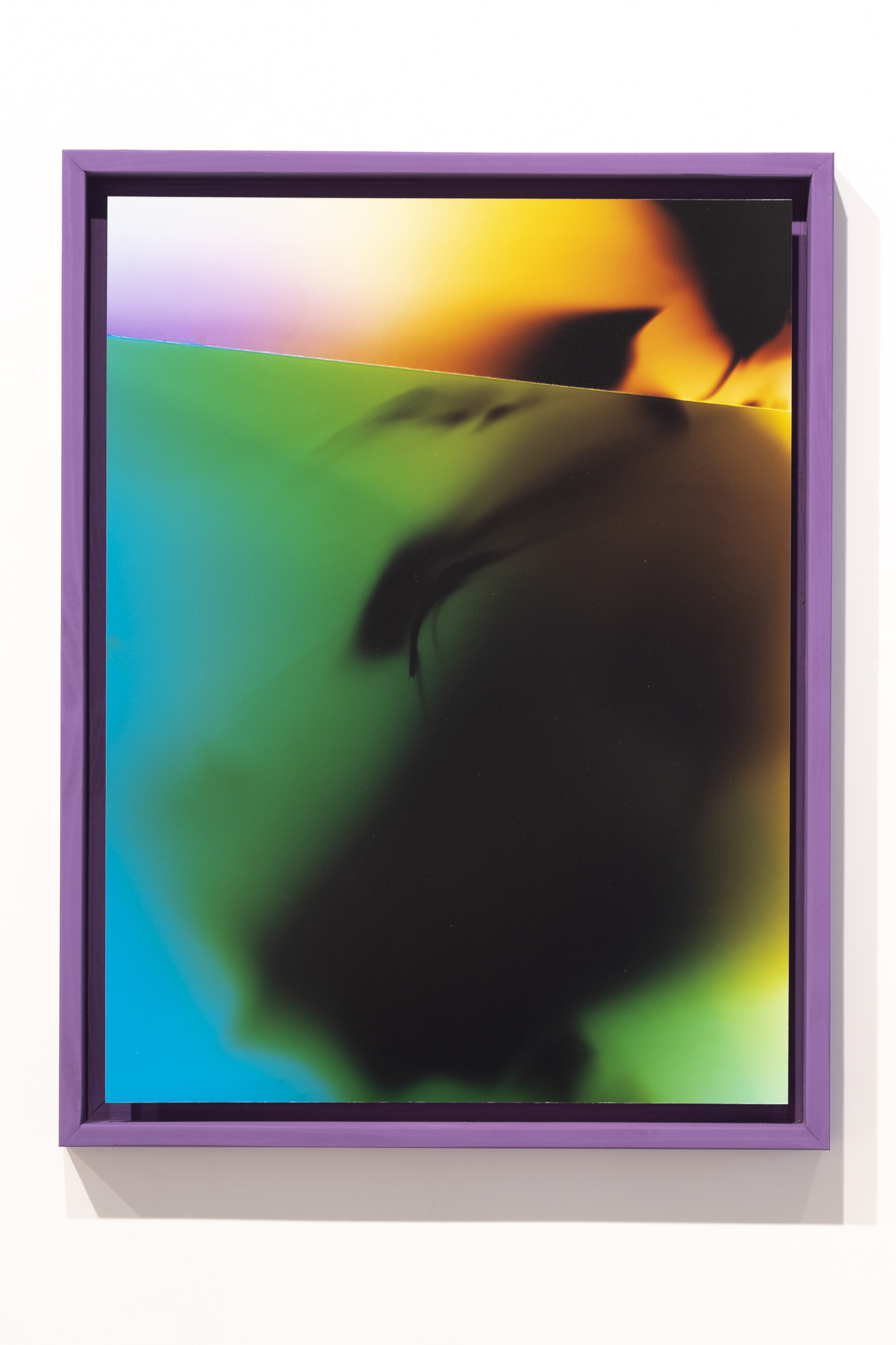 Untitled, 2025