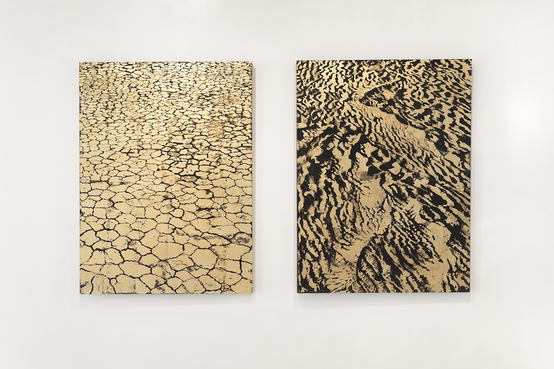 Golden Sands and Organic Grid, 2026