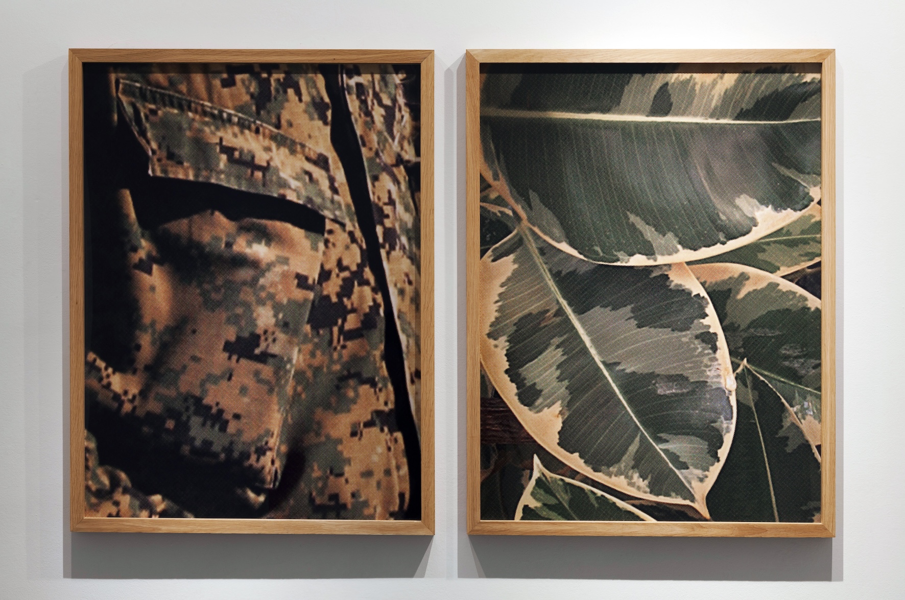 Domestic Patterns, 2011