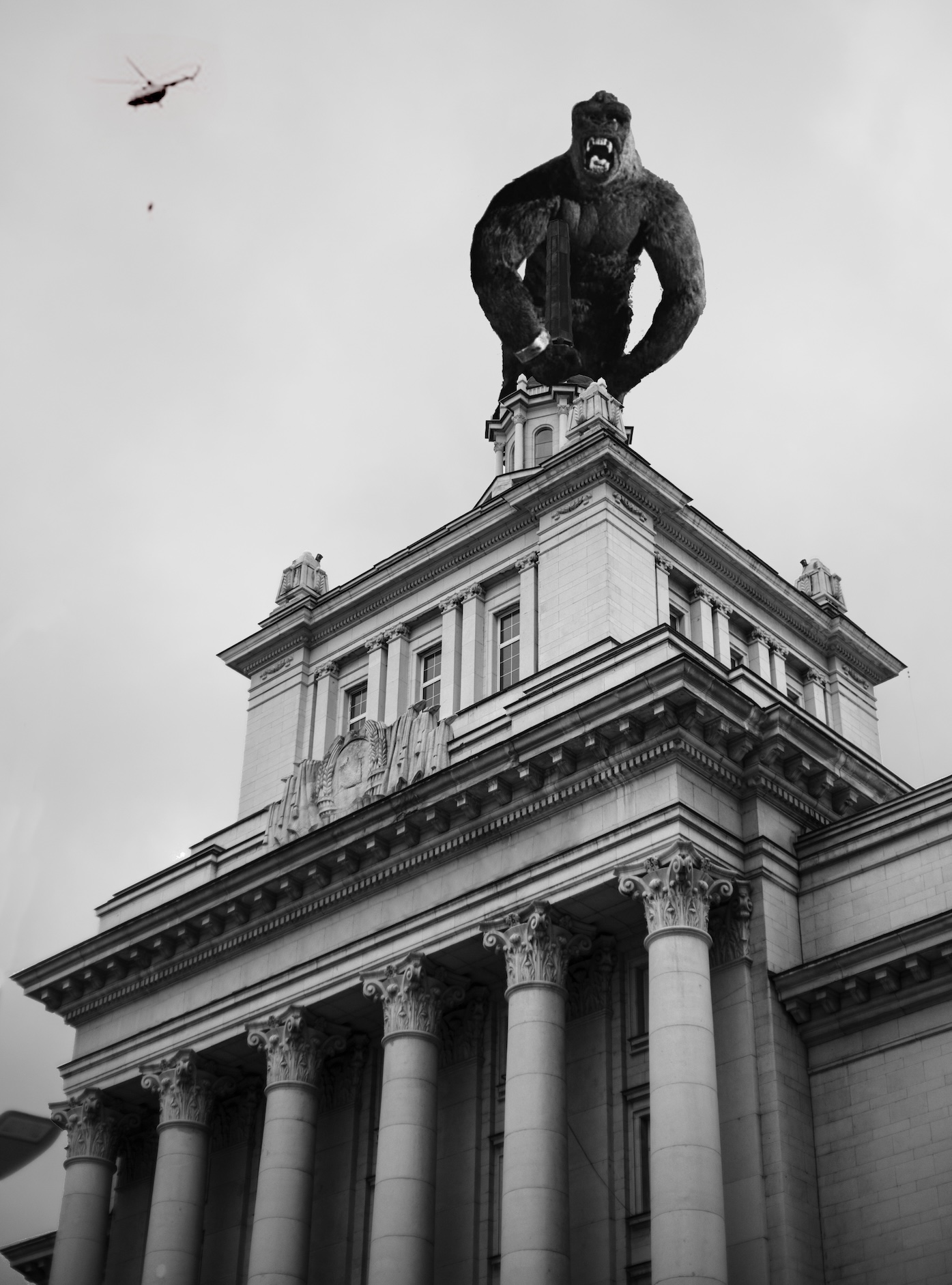 King/Party Kong/Headquarters, 2026