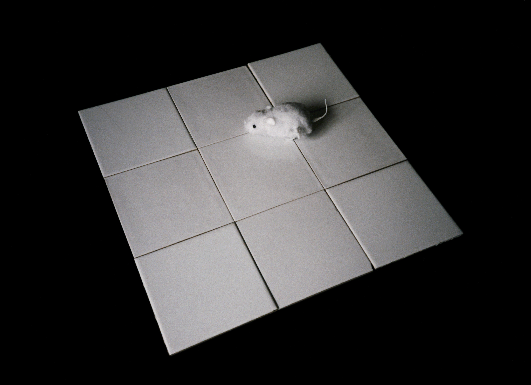 White mouse on white background (Homage to Kasimir Malevich), 1995