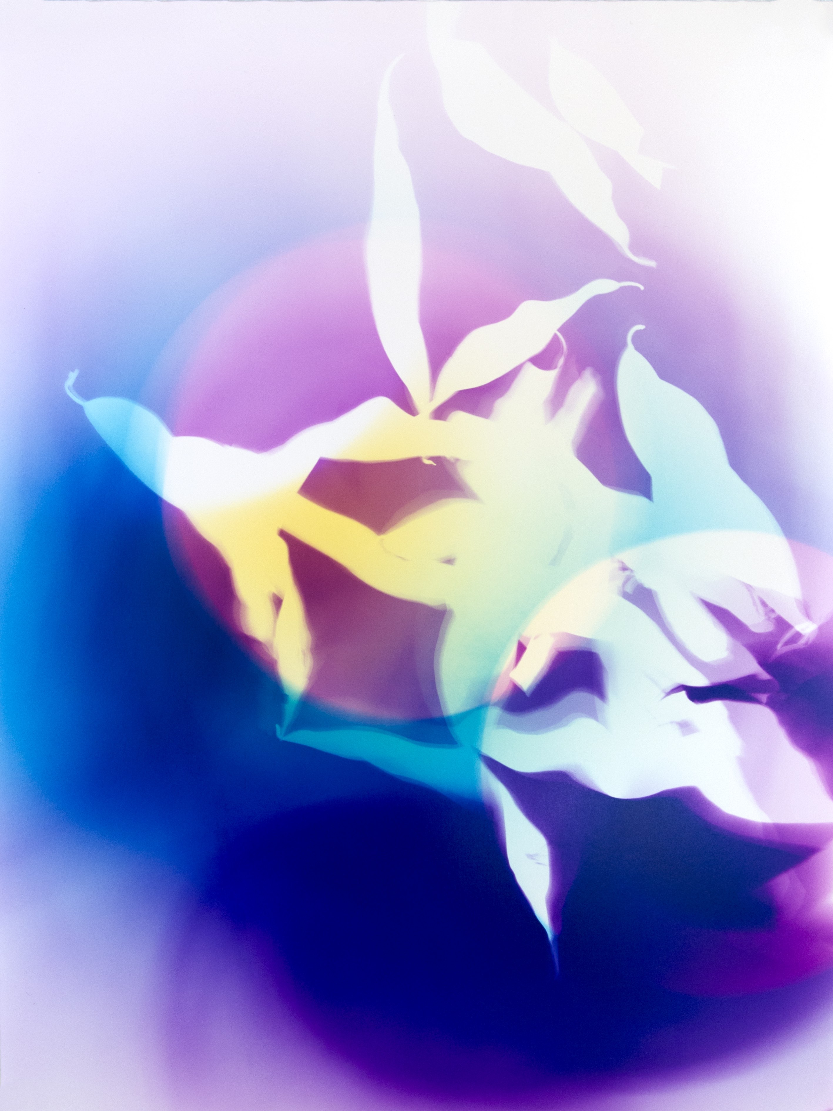 Untitled, 2022