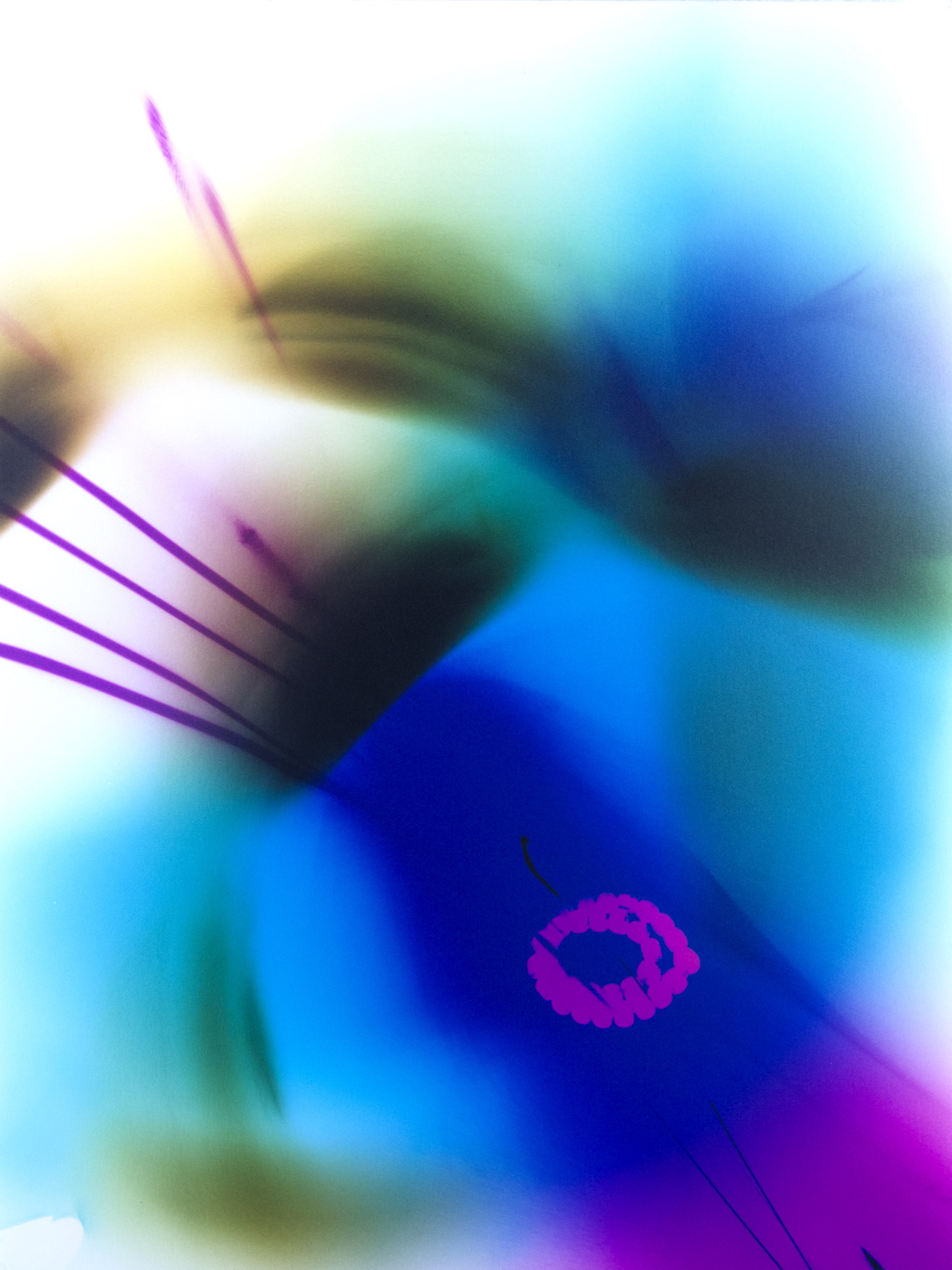 Untitled, 2022