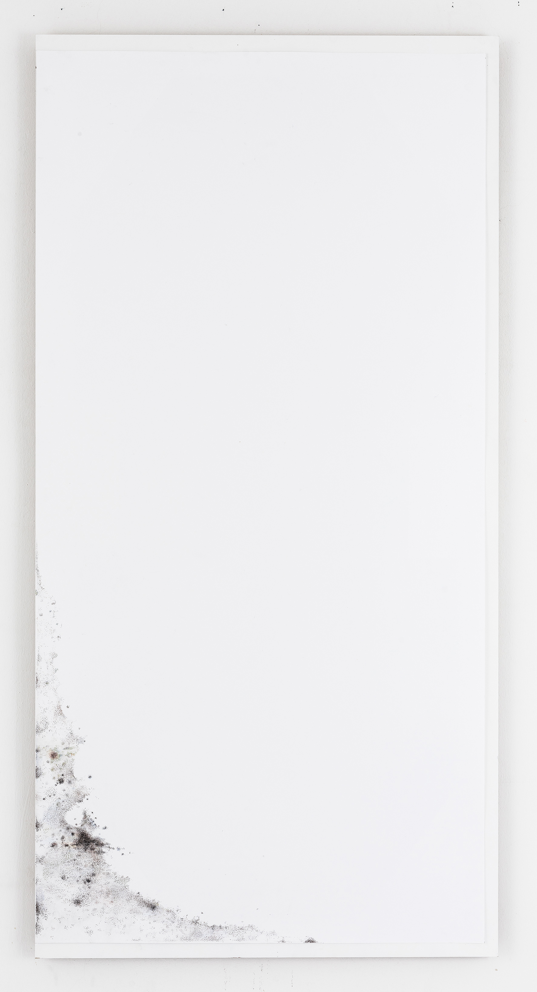 Mold #4 (from the series Dust to Dust), 2020