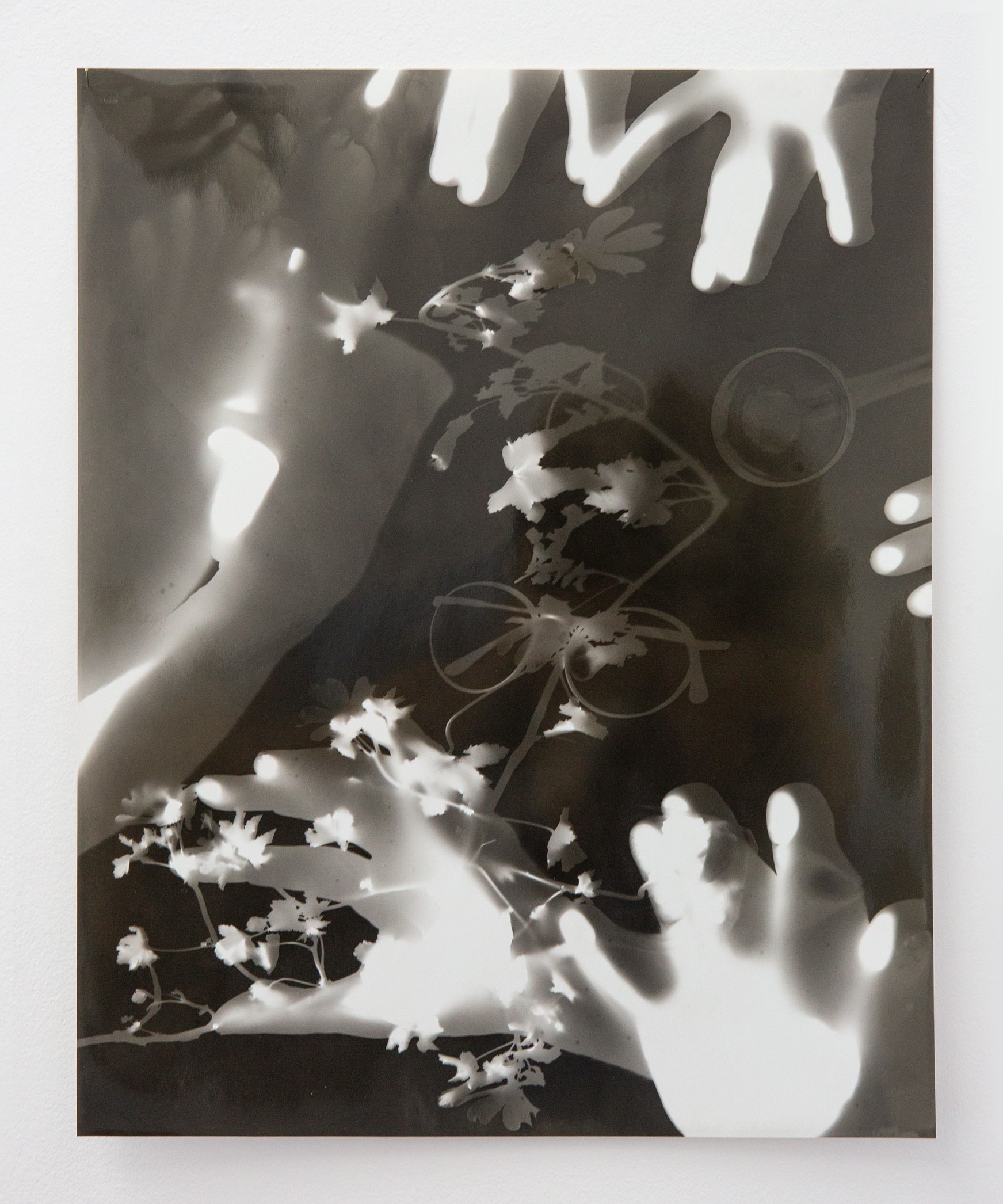 Photogram portraits of collective state of mind, 2018